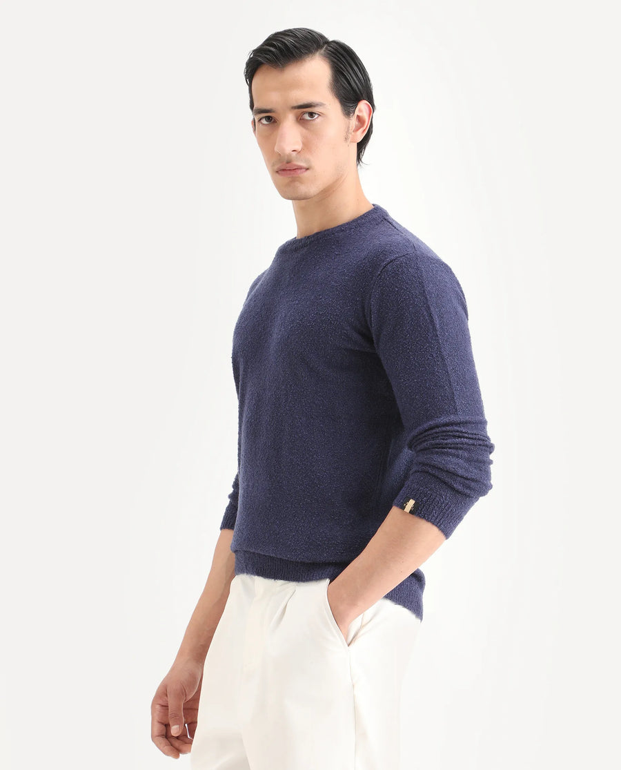 Rare Rabbit Men's Boule Purple Polyester Blend Plain Regular Fit Full Sleeve Crew Neck Sweater