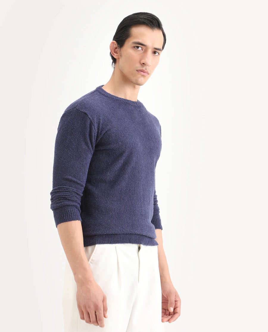 Rare Rabbit Men's Boule Purple Polyester Blend Plain Regular Fit Full Sleeve Crew Neck Sweater