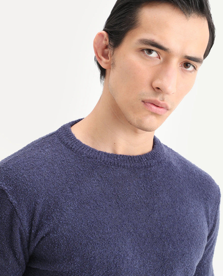 Rare Rabbit Men's Boule Purple Polyester Blend Plain Regular Fit Full Sleeve Crew Neck Sweater