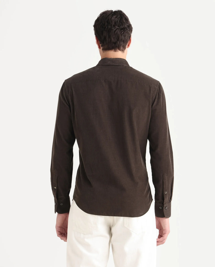Rare Rabbit Men's Buita Dark Brown Cotton Plain Regular Fit Full Sleeve Collared Shirt