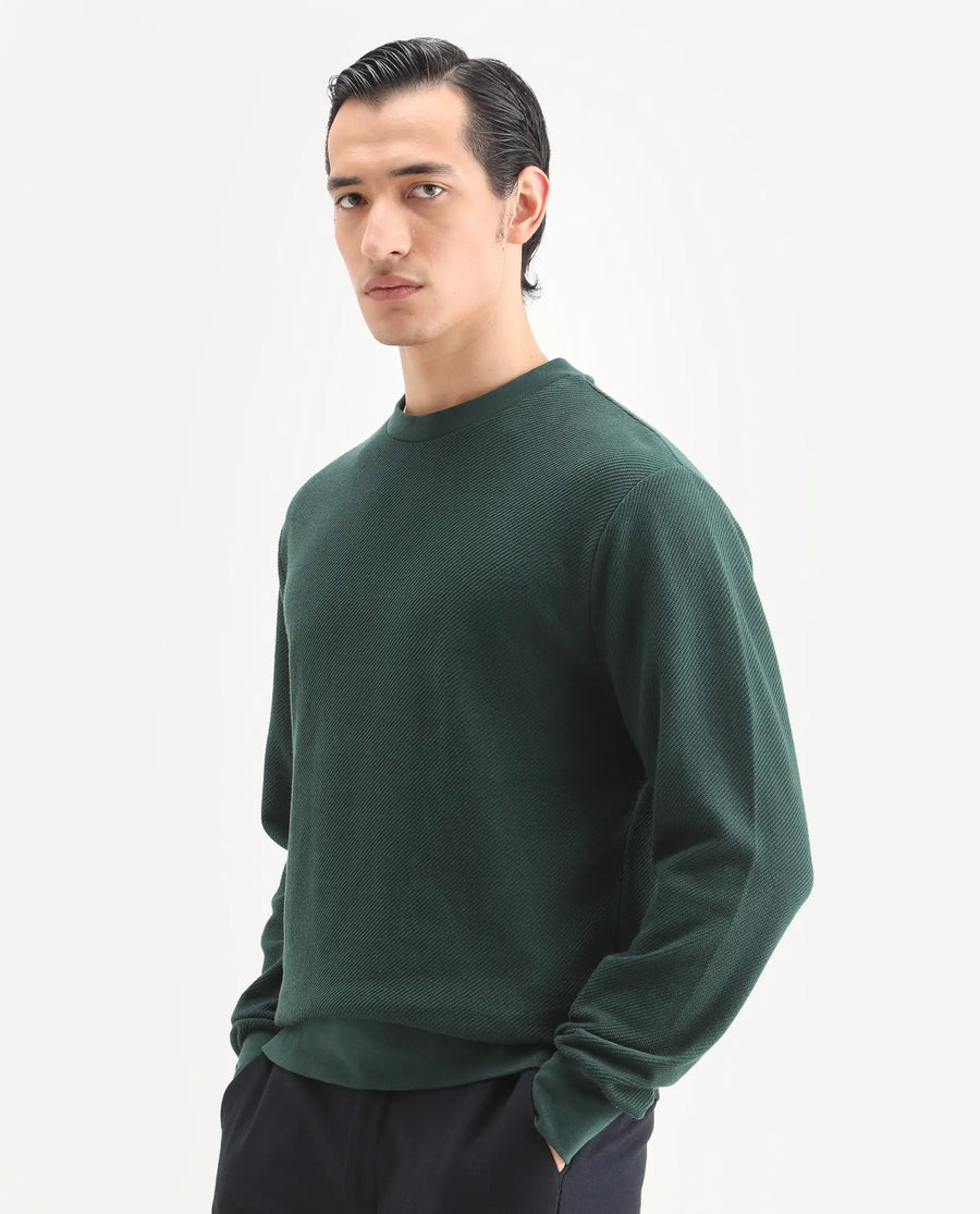 Rare Rabbit Men's Nial Dark Green Polyester Blend Plain Regular Fit Full Sleeve Crew Neck Sweatshirt