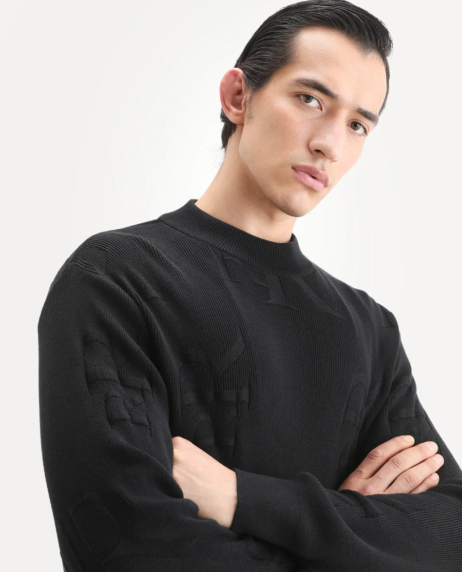 Rare Rabbit Men's Rev Black Acrylic Fabric Full Sleeve Crew Neck Textured Sweater