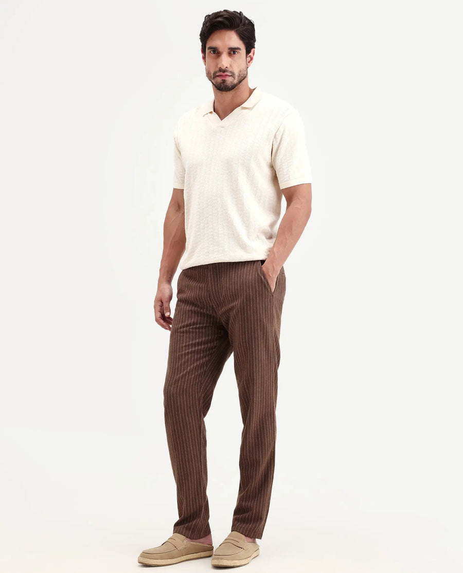 Rare Rabbit Men's Elkie-B Brown Cotton Blend Fabric Straight Fit Striped Trouser