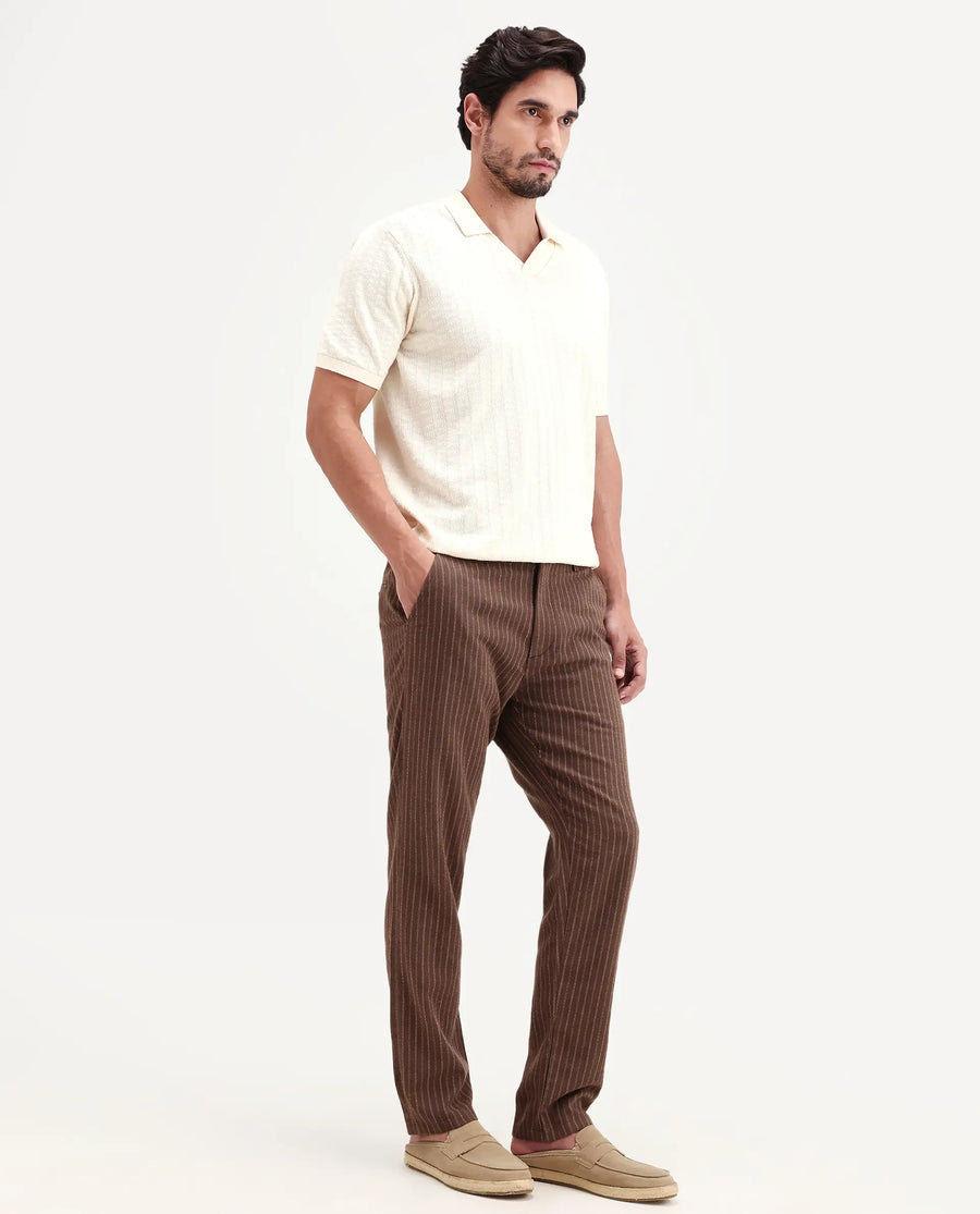 Rare Rabbit Men's Elkie-B Brown Cotton Blend Fabric Straight Fit Striped Trouser