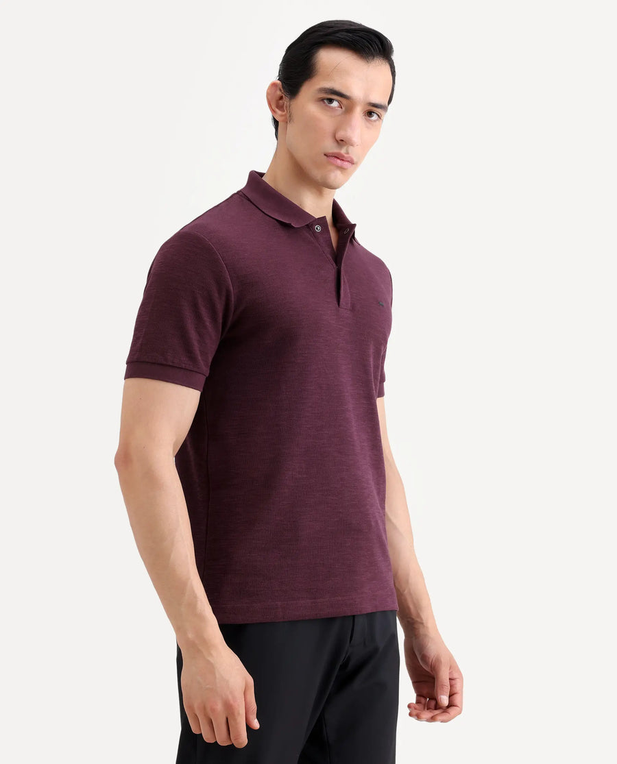 Rare Rabbit Men's Caro Maroon Cotton Fabric Spread Collar Regular Fit Plain Polo
