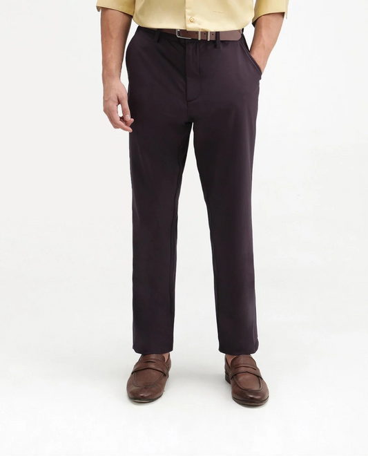 Rare Rabbit Men's Alvs Dark Purple Polyester Fabric Regular Fit Plain Trouser