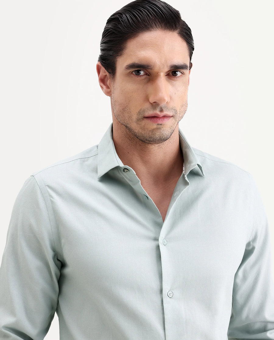 Rare Rabbit Men's Lasko-26 Light Green Cotton Fabric Full Sleeve Spread Collar Regular Fit Plain Shirt