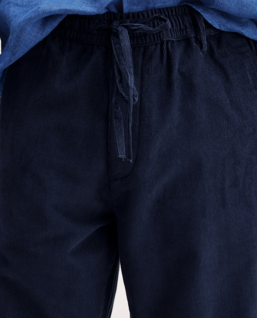 Rare Rabbit Men's Chant-B Dark Blue Cotton Straight Fit Regular Length Trouser