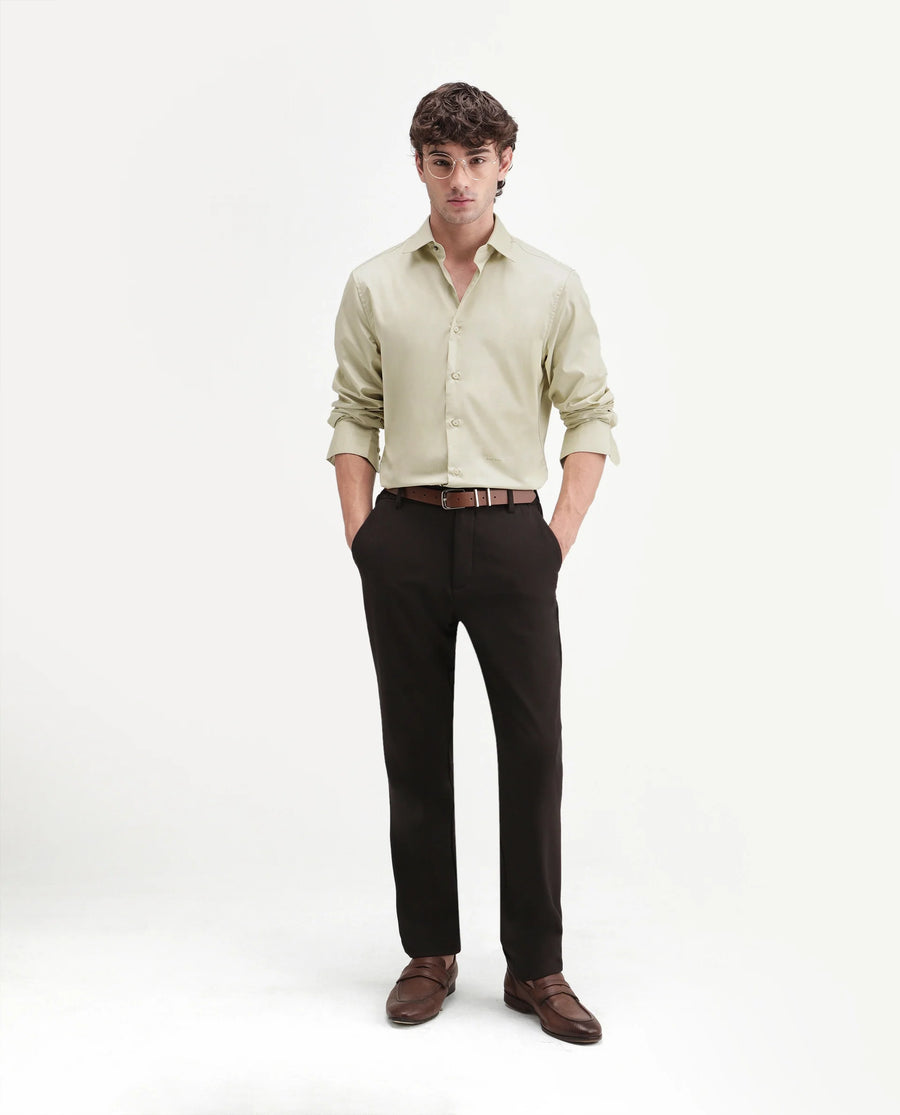 Rare Rabbit Men's Aston Dusky Green Polyester Blend Spread Collar Button Regular Plain Shirt