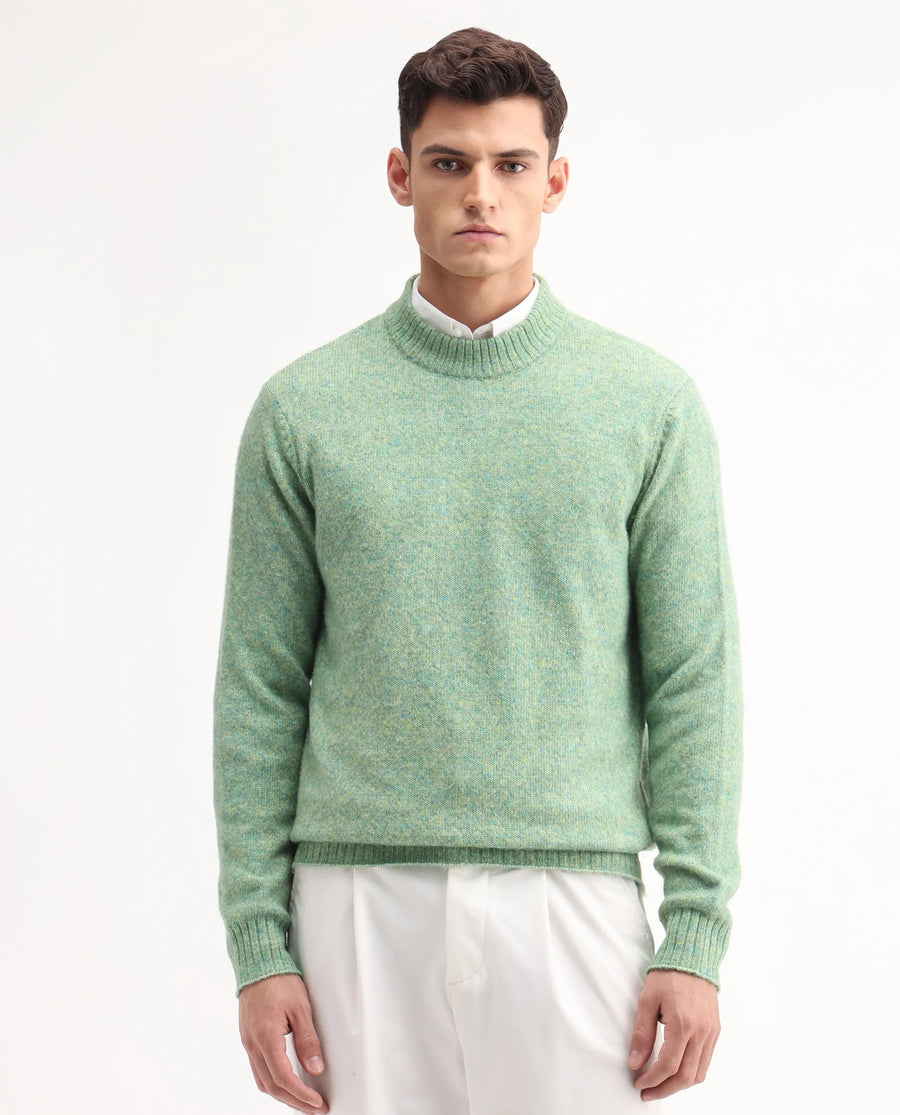 Rare Rabbit Men's Tali Dusky Green Cotton Plain Regular Fit Full Sleeve Crew Neck Sweater