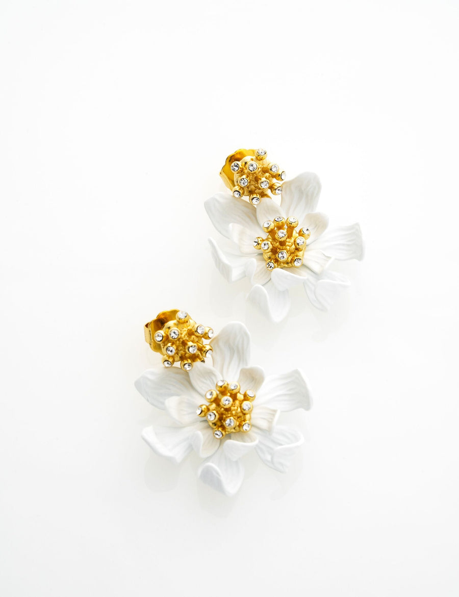 Fulva | GOLD
