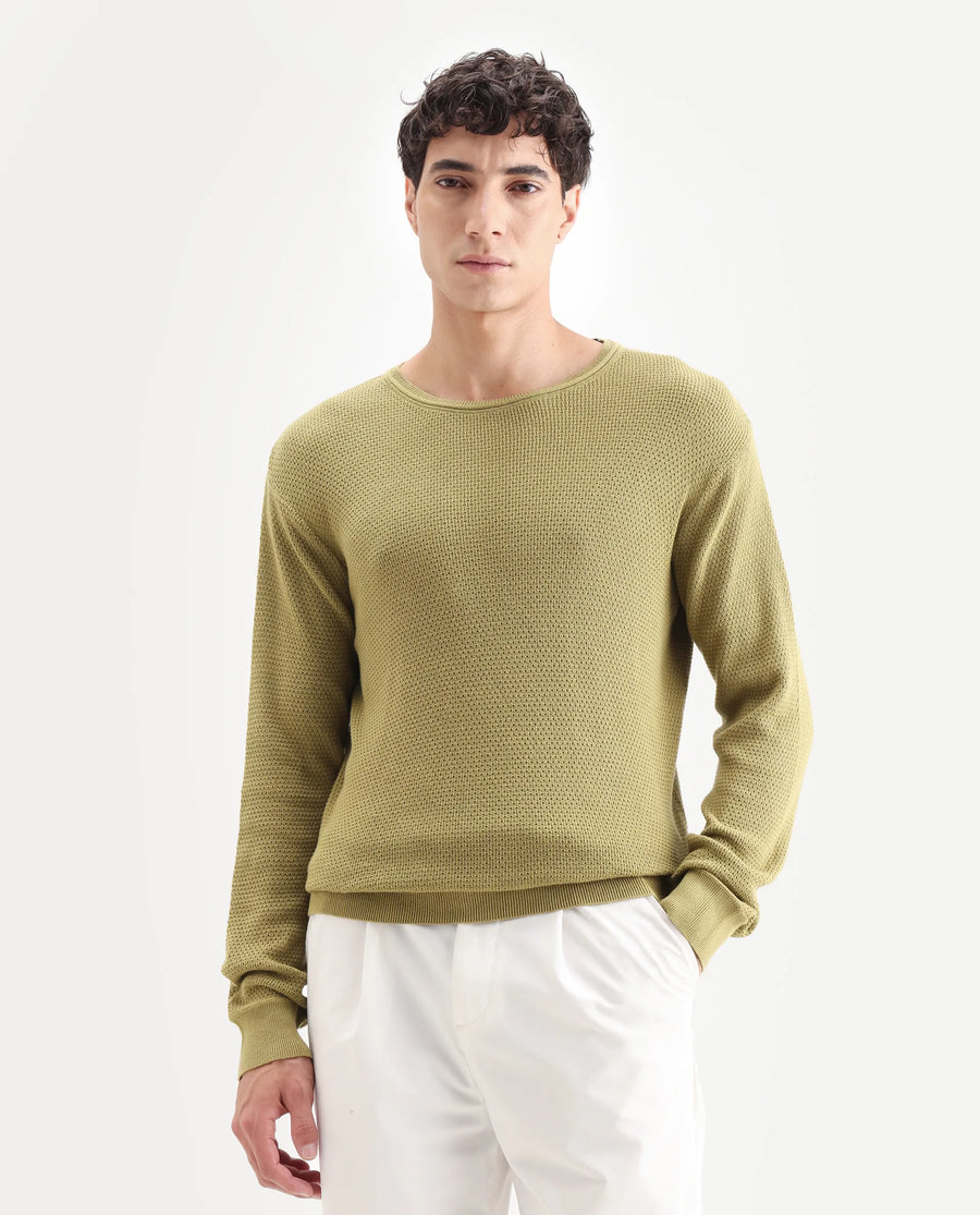 Rare Rabbit Men's Torino Green Cotton Plain Regular Fit Full Sleeve Crew Neck Sweater