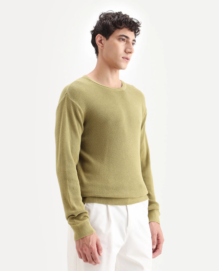Rare Rabbit Men's Torino Green Cotton Plain Regular Fit Full Sleeve Crew Neck Sweater