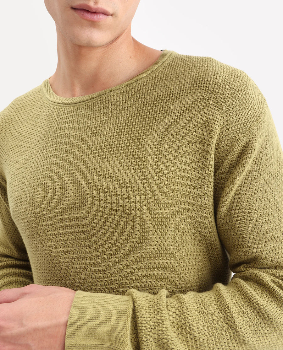 Rare Rabbit Men's Torino Green Cotton Plain Regular Fit Full Sleeve Crew Neck Sweater