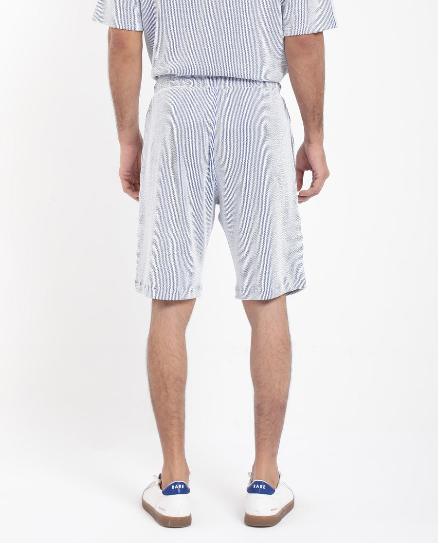 Rare Rabbit Men's Zavet-B Blue Cotton Blend Striped Print Regular Fit Shorts