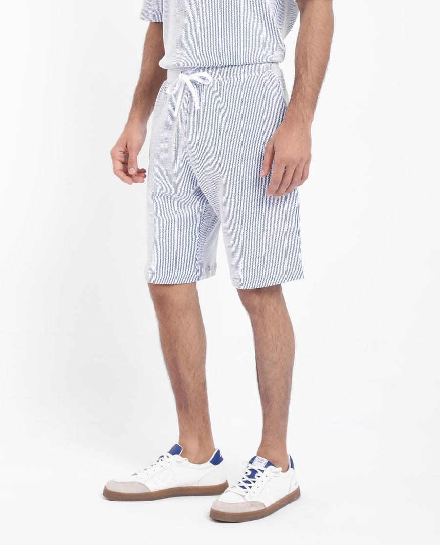 Rare Rabbit Men's Zavet-B Blue Cotton Blend Striped Print Regular Fit Shorts