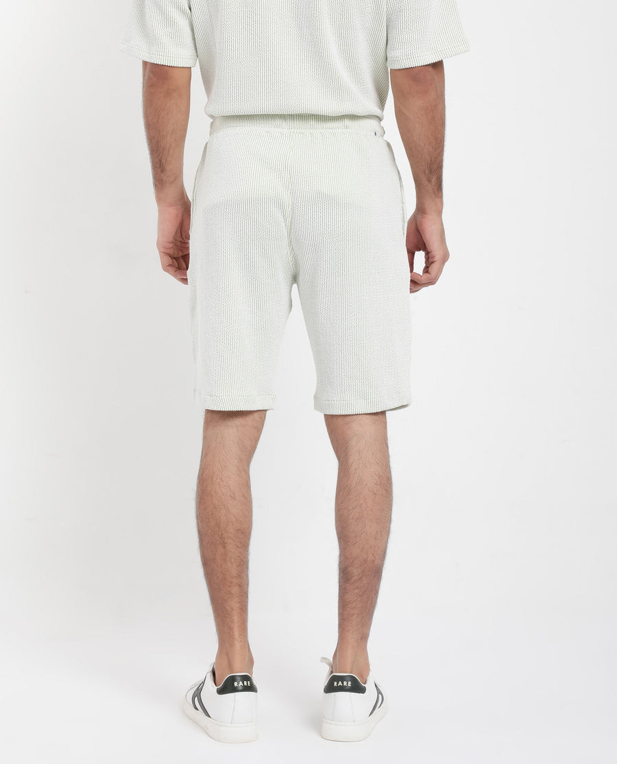 Rare Rabbit Men's Zavet-B Light Green Cotton Blend Striped Print Regular Fit Shorts