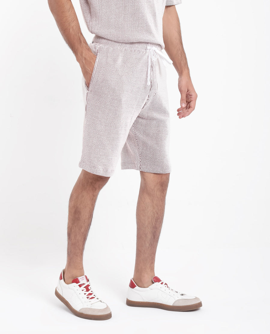 Rare Rabbit Men's Zavet-B Maroon Cotton Blend Striped Print Regular Fit Shorts