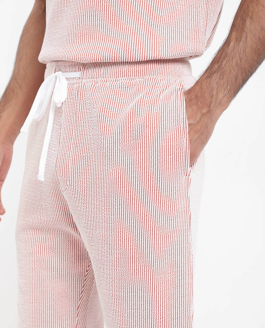 Rare Rabbit Men's Zavet-B Rust Cotton Blend Striped Print Regular Fit Shorts