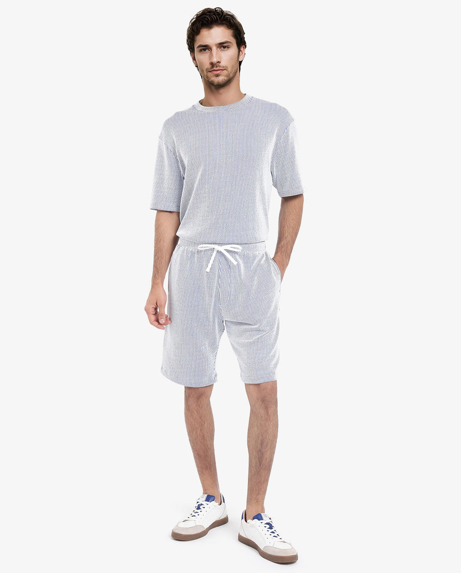Rare Rabbit Men's Zavet-B Blue Cotton Blend Striped Print Regular Fit Shorts