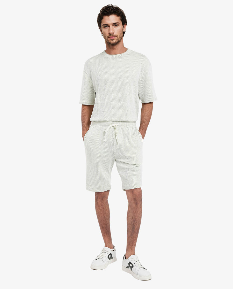Rare Rabbit Men's Zavet-B Light Green Cotton Blend Striped Print Regular Fit Shorts