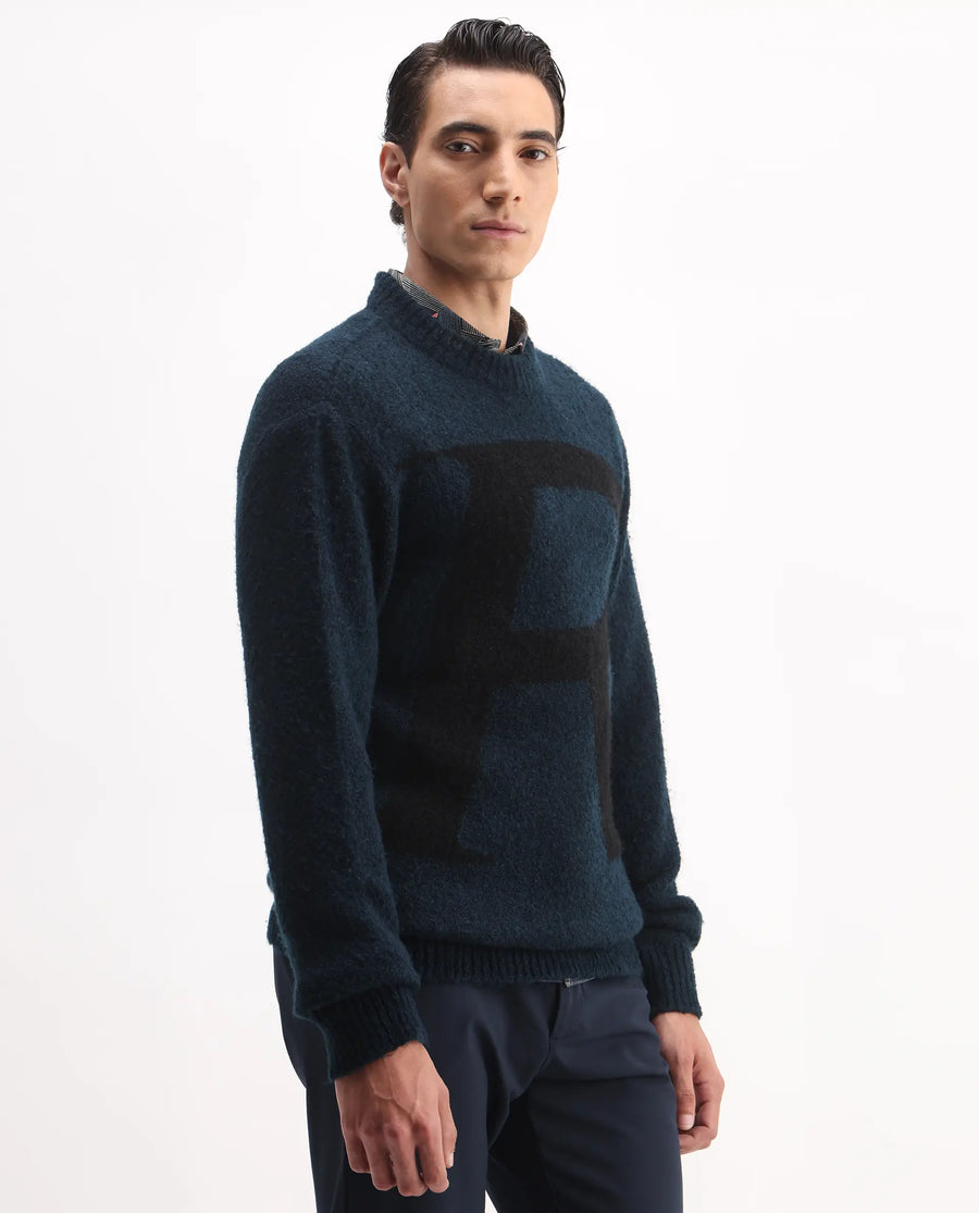 Rare Rabbit Men's Lang Teal Nylon Printed Regular Fit Full Sleeve Crew Neck Sweater
