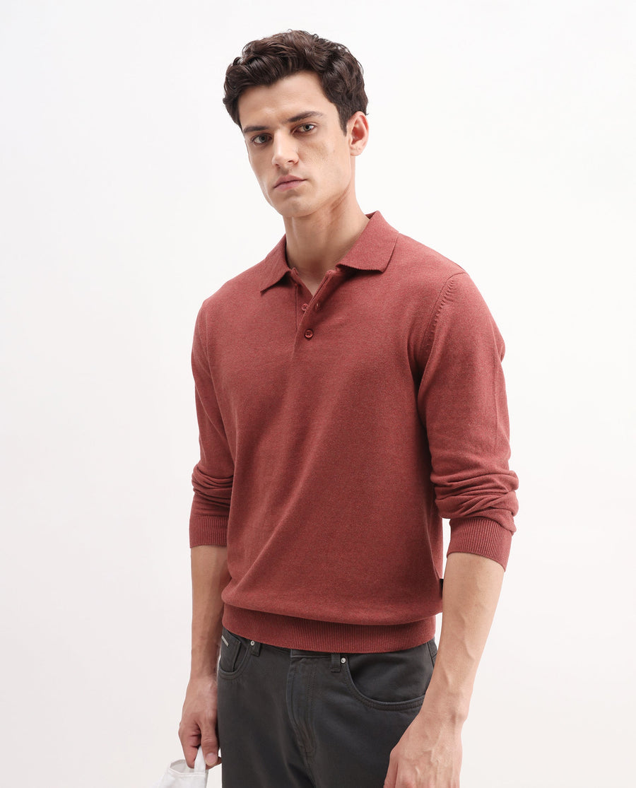 Rare Rabbit Men's Pyer-25 Rust Cotton Blend Fabric Collared Neck Regular Fit Plain Polo