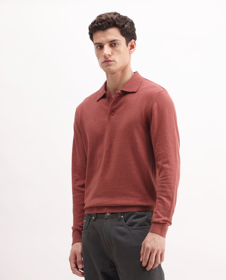 Rare Rabbit Men's Pyer-25 Rust Cotton Blend Fabric Collared Neck Regular Fit Plain Polo
