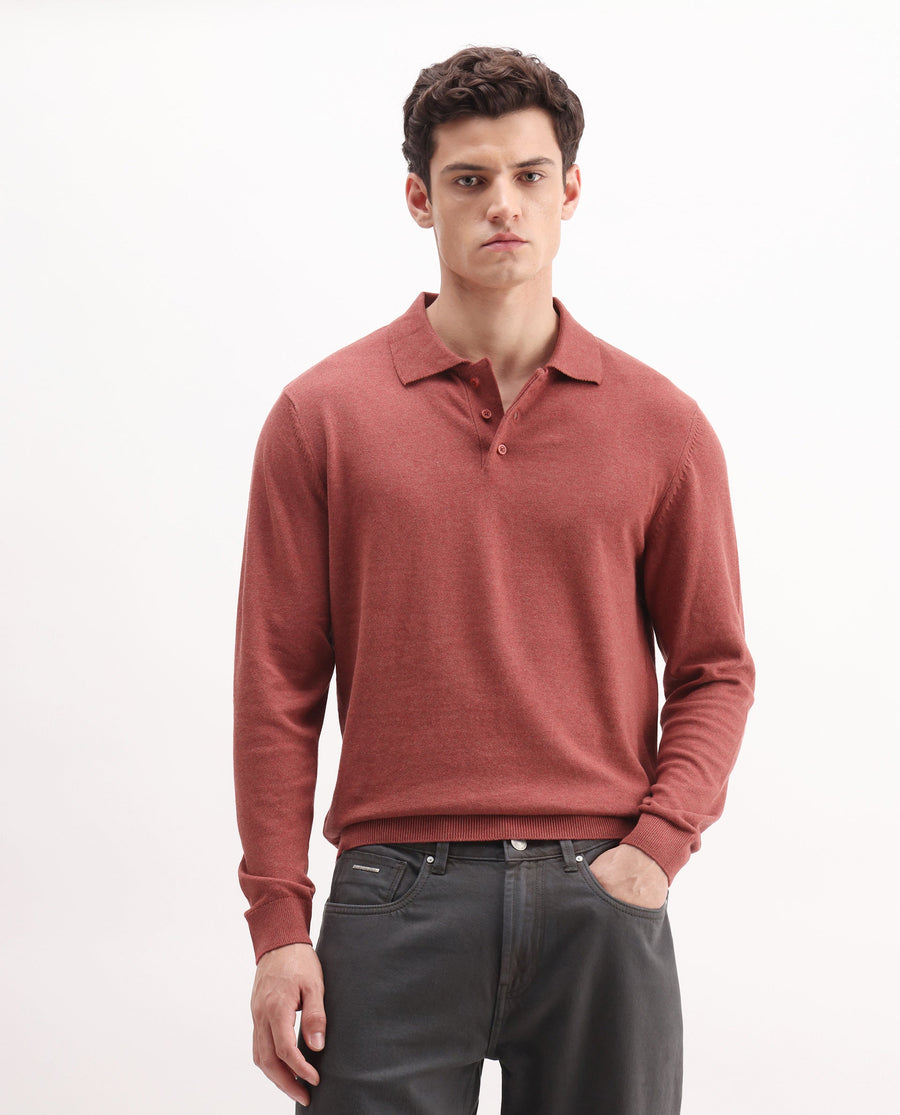 Rare Rabbit Men's Pyer-25 Rust Cotton Blend Fabric Collared Neck Regular Fit Plain Polo