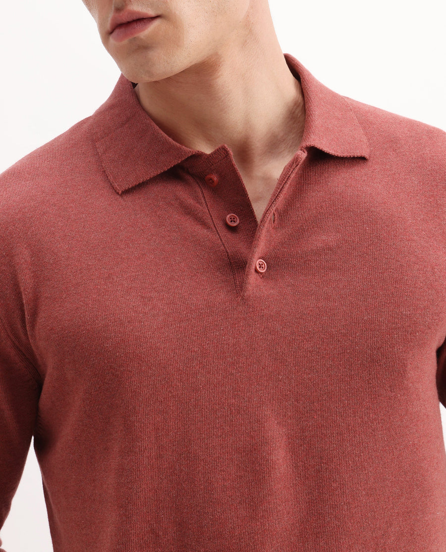 Rare Rabbit Men's Pyer-25 Rust Cotton Blend Fabric Collared Neck Regular Fit Plain Polo