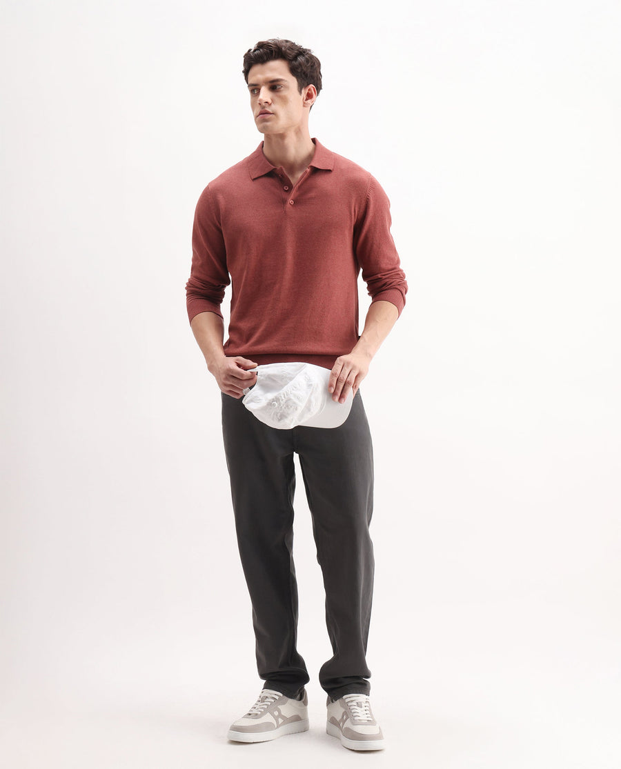 Rare Rabbit Men's Pyer-25 Rust Cotton Blend Fabric Collared Neck Regular Fit Plain Polo