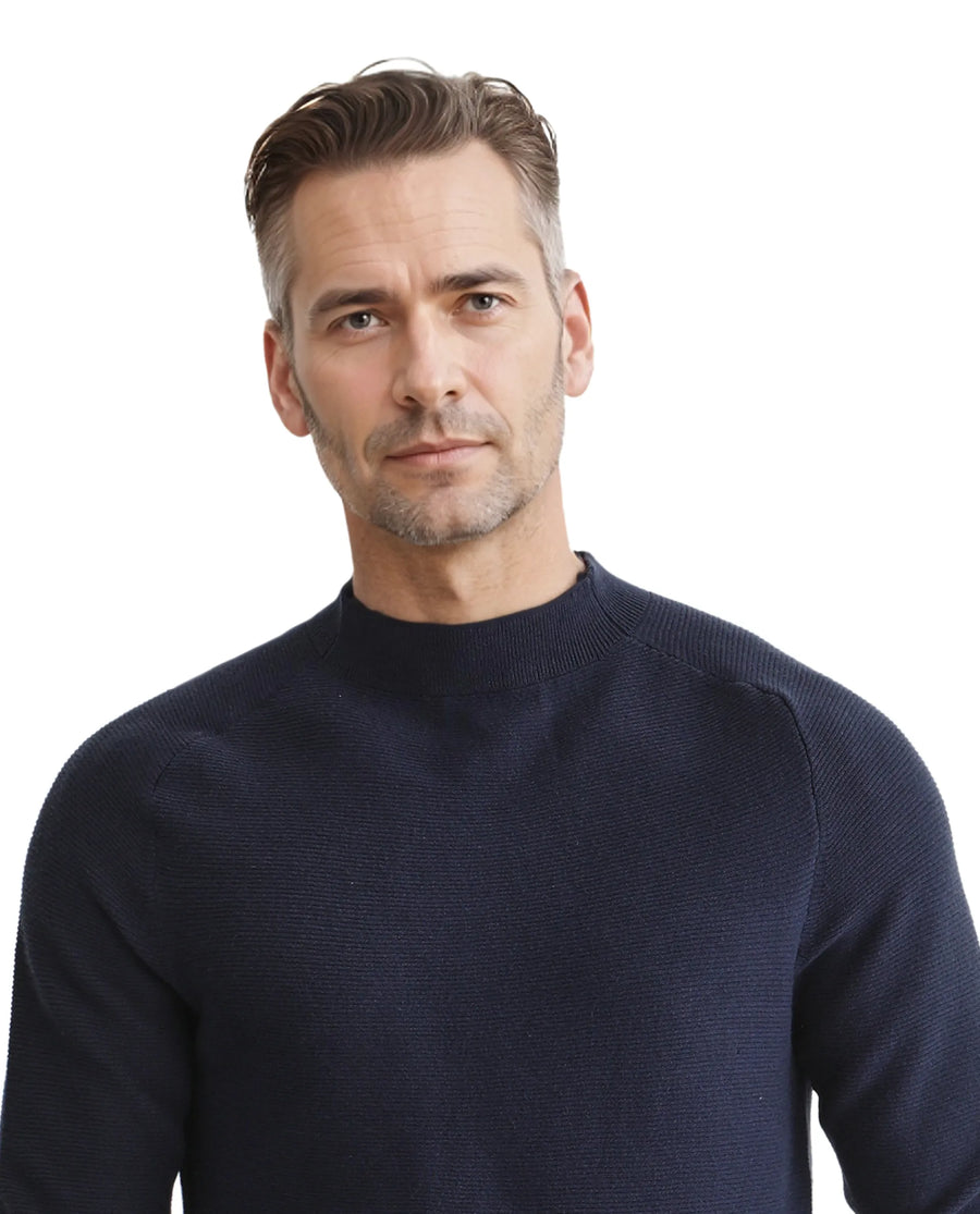 Rare Rabbit Men's Viscose Blend Plain Regular Fit Full Sleeve High Neck Sweater